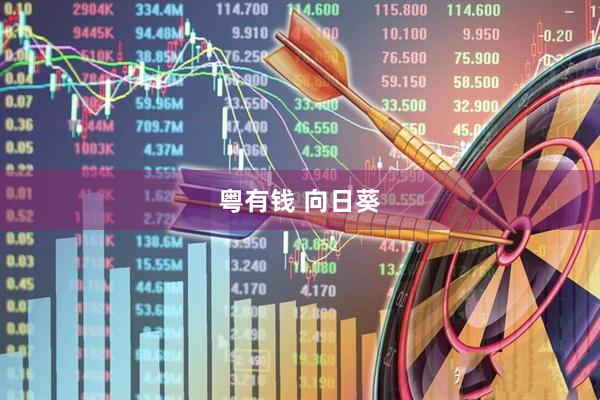 粤有钱 向日葵