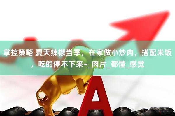 掌控策略 夏天辣椒当季，在家做小炒肉，搭配米饭，吃的停不下来~_肉片_都懂_感觉