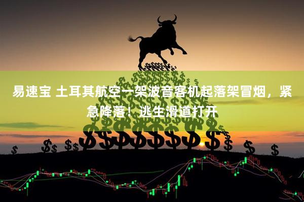 易速宝 土耳其航空一架波音客机起落架冒烟，紧急降落！逃生滑道打开